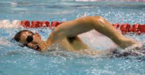 Captura de pantalla 2017-06-15 17.49.45