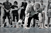 Captura de pantalla 2017-02-06 21.49.10